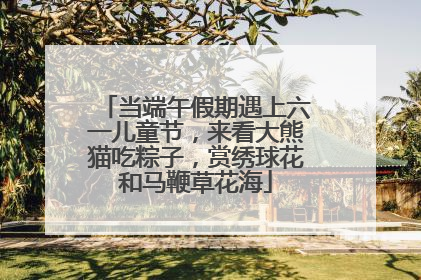 当端午假期遇上六一儿童节，来看大熊猫吃粽子，赏绣球花和马鞭草花海