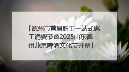 德州市首届职工一站式惠工消费节暨2025山东德州燕京啤酒文化节开幕