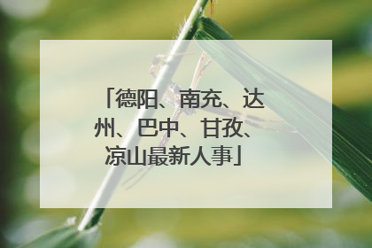 德阳、南充、达州、巴中、甘孜、凉山最新人事