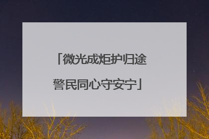 微光成炬护归途 警民同心守安宁