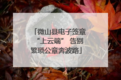 微山县电子签章“上云端” 告别繁琐公章奔波路
