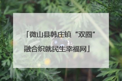 微山县韩庄镇“双圈”融合织就民生幸福网