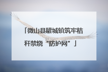 微山县驩城镇筑牢秸秆禁烧“防护网”