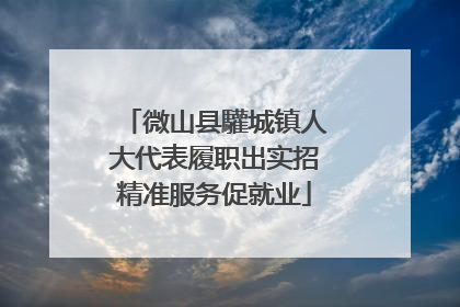 微山县驩城镇人大代表履职出实招精准服务促就业