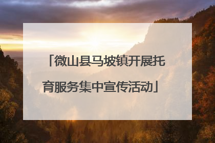 微山县马坡镇开展托育服务集中宣传活动