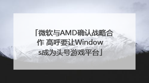 微软与AMD确认战略合作 高呼要让Windows成为头号游戏平台