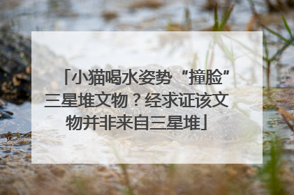 小猫喝水姿势“撞脸”三星堆文物？经求证该文物并非来自三星堆