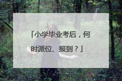 小学毕业考后，何时派位、报到？