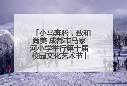 小马奔腾，致和尚美 成都市马家河小学举行第十届校园文化艺术节