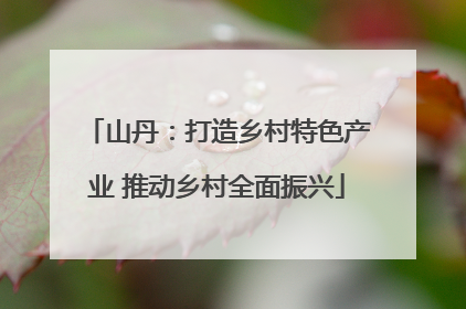 山丹：打造乡村特色产业 推动乡村全面振兴