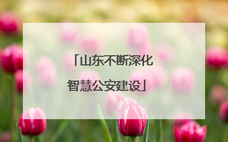 山东不断深化智慧公安建设