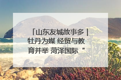 山东友城故事多｜牡丹为媒 经贸与教育并举 菏泽国际“朋友圈”扩容升级