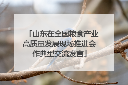 山东在全国粮食产业高质量发展现场推进会作典型交流发言