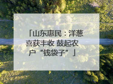 山东惠民：洋葱喜获丰收 鼓起农户“钱袋子”