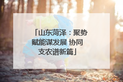 山东菏泽：聚势赋能谋发展 协同支农谱新篇