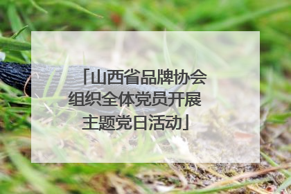 山西省品牌协会组织全体党员开展主题党日活动