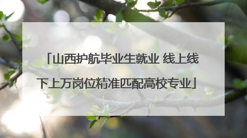 山西护航毕业生就业 线上线下上万岗位精准匹配高校专业