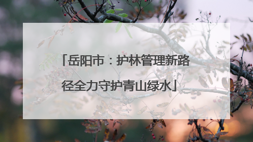 岳阳市：护林管理新路径全力守护青山绿水