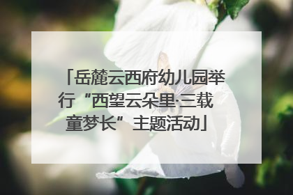 岳麓云西府幼儿园举行“西望云朵里·三载童梦长”主题活动