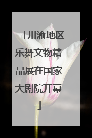 川渝地区乐舞文物精品展在国家大剧院开幕