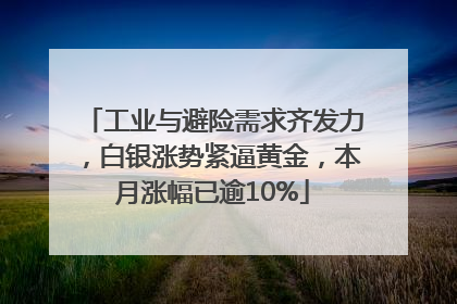 工业与避险需求齐发力，白银涨势紧逼黄金，本月涨幅已逾10%