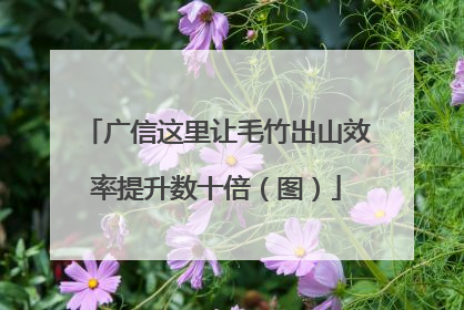广信这里让毛竹出山效率提升数十倍（图）