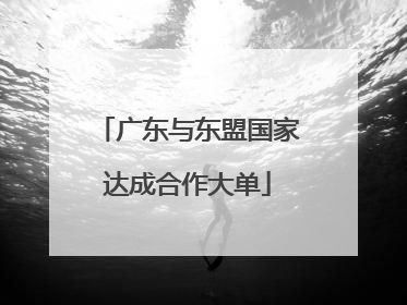 广东与东盟国家达成合作大单