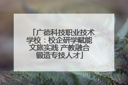 广德科技职业技术学校：校企研学赋能文旅实践 产教融合锻造专技人才
