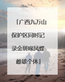 广西九万山保护区同时记录金斑喙凤蝶雌雄个体