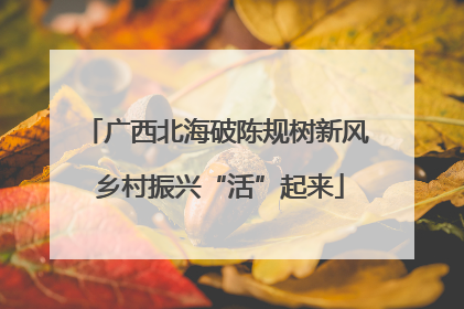 广西北海破陈规树新风 乡村振兴“活”起来