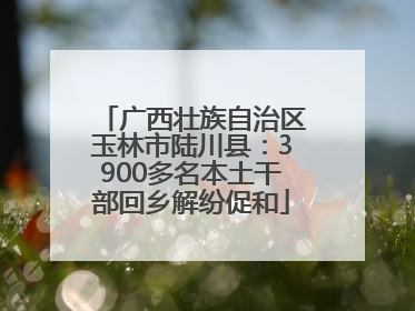 广西壮族自治区玉林市陆川县：3900多名本土干部回乡解纷促和