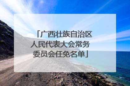 广西壮族自治区人民代表大会常务委员会任免名单