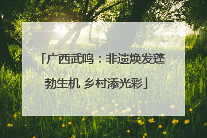 广西武鸣：非遗焕发蓬勃生机 乡村添光彩