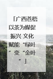 广西苍梧以茶为媒促振兴 文化赋能“绿叶”变“金叶”