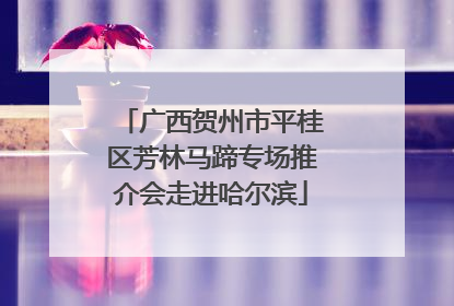 广西贺州市平桂区芳林马蹄专场推介会走进哈尔滨