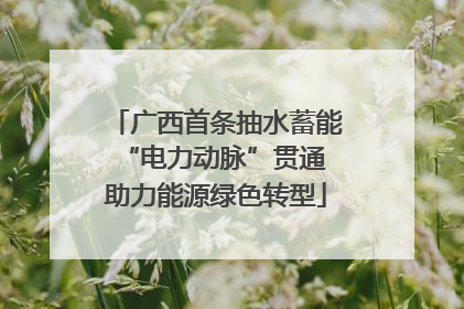 广西首条抽水蓄能“电力动脉”贯通 助力能源绿色转型