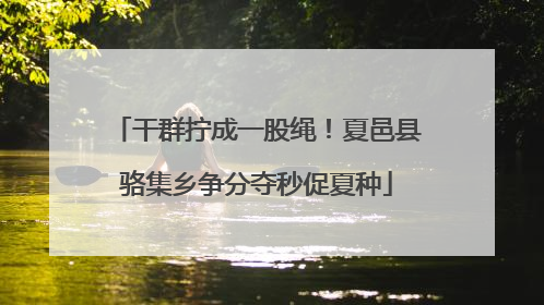 干群拧成一股绳！夏邑县骆集乡争分夺秒促夏种