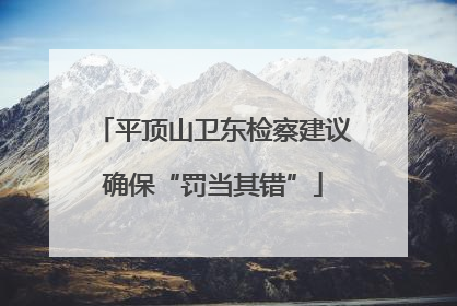 平顶山卫东检察建议确保“罚当其错”