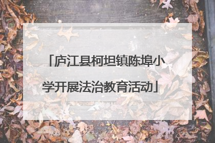 庐江县柯坦镇陈埠小学开展法治教育活动