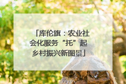 库伦旗：农业社会化服务“托”起乡村振兴新图景