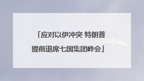 应对以伊冲突 特朗普提前退席七国集团峰会