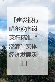 建设银行哈尔滨南岗支行精准“浇灌”实体经济发展沃土