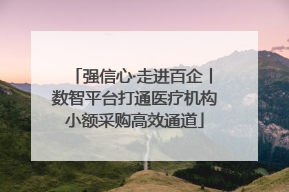 强信心·走进百企丨数智平台打通医疗机构小额采购高效通道