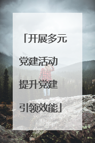 开展多元党建活动 提升党建 引领效能