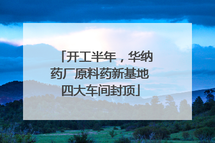 开工半年，华纳药厂原料药新基地四大车间封顶
