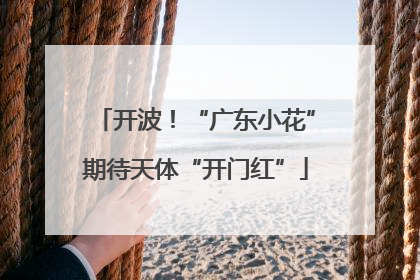 开波！“广东小花”期待天体“开门红”