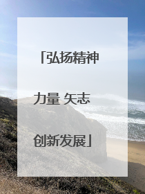 弘扬精神力量 矢志创新发展