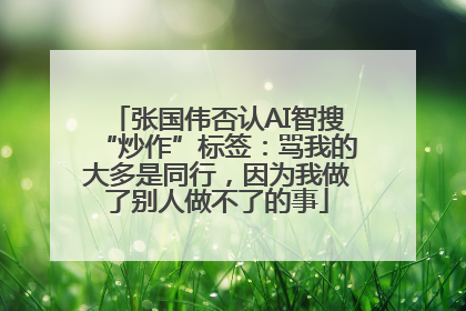 张国伟否认AI智搜“炒作”标签：骂我的大多是同行，因为我做了别人做不了的事