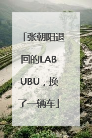 张朝阳退回的LABUBU，换了一辆车