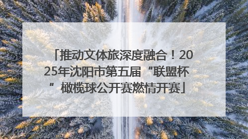 推动文体旅深度融合！2025年沈阳市第五届“联盟杯”橄榄球公开赛燃情开赛